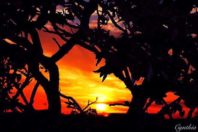 Paysage coucher du soleil