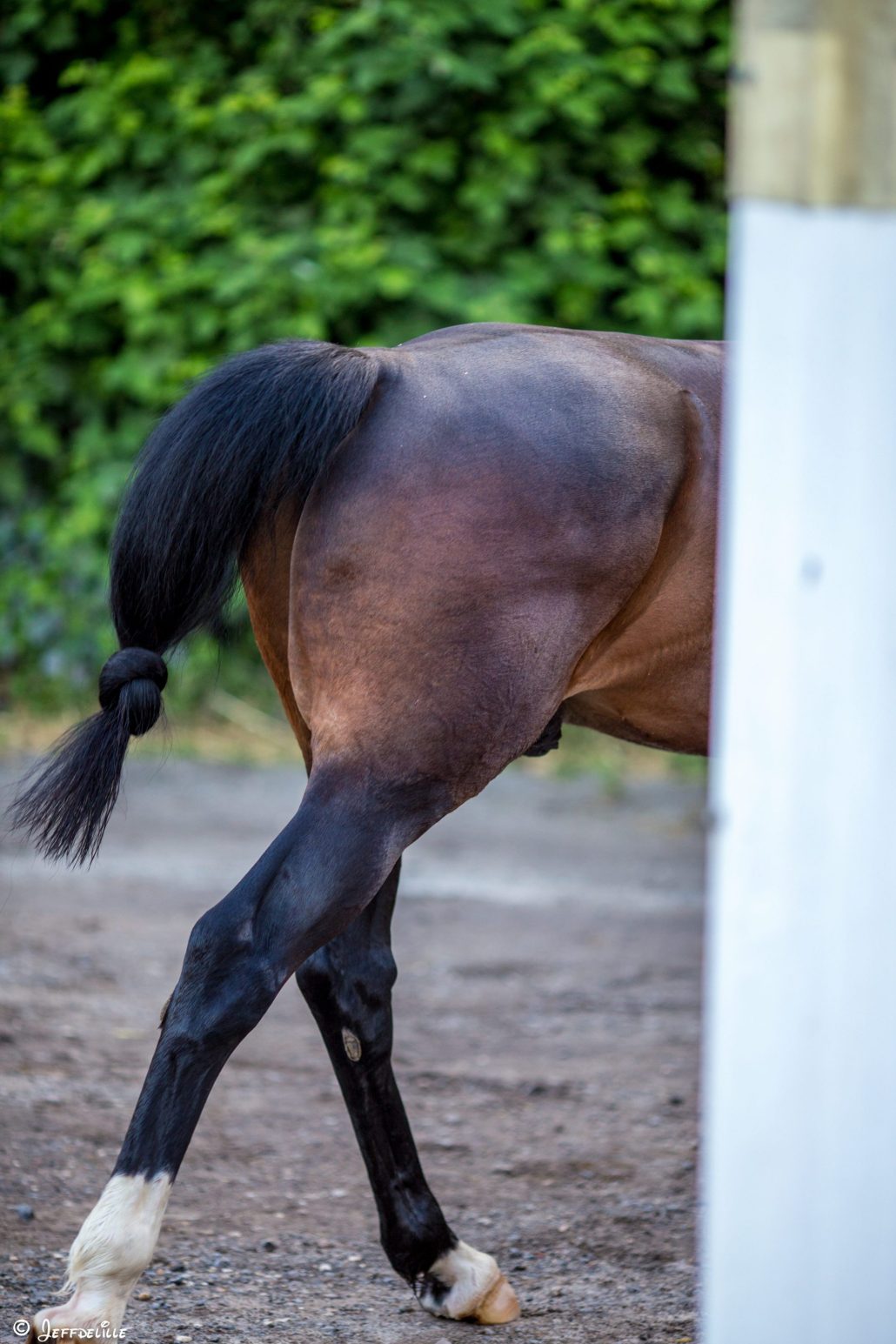 Pour ne pas oublier…