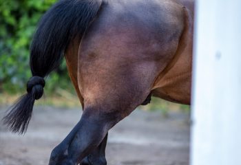 Pour ne pas oublier...