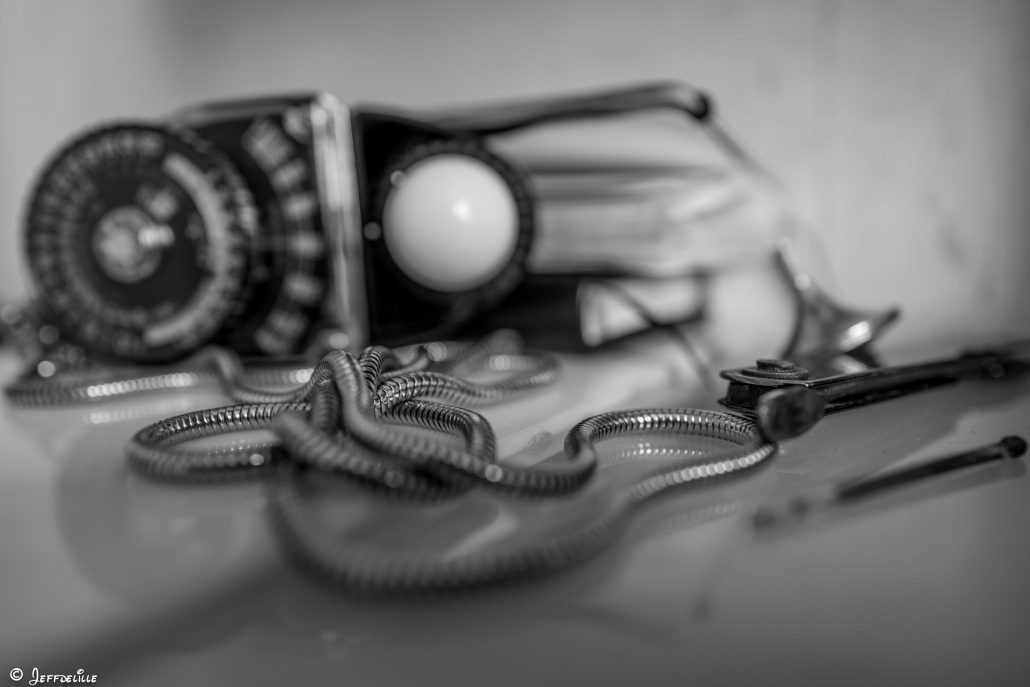 Dragonne, quand tu nous tiens …