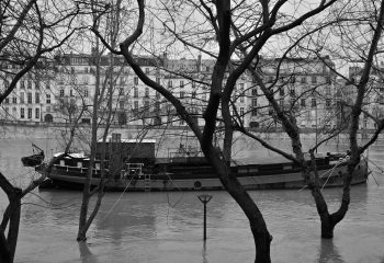 Crue de la Seine