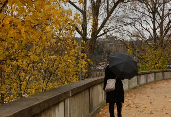 Un coin de parapluie
