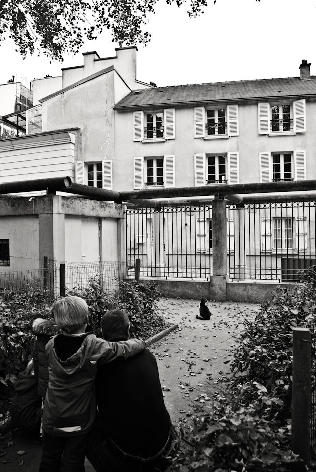 La sagesse commence dans l’émerveillement