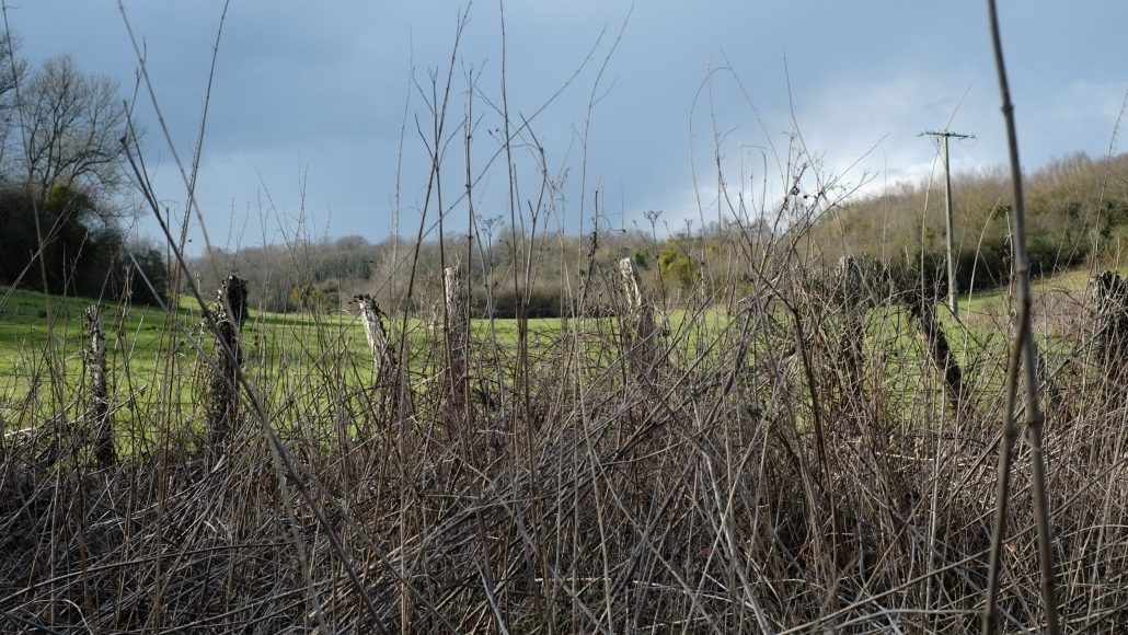 Clôture de pâturage 2