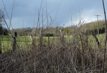 Clôture de pâturage 2