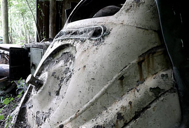 Les Lionnes sont mortes ce soir