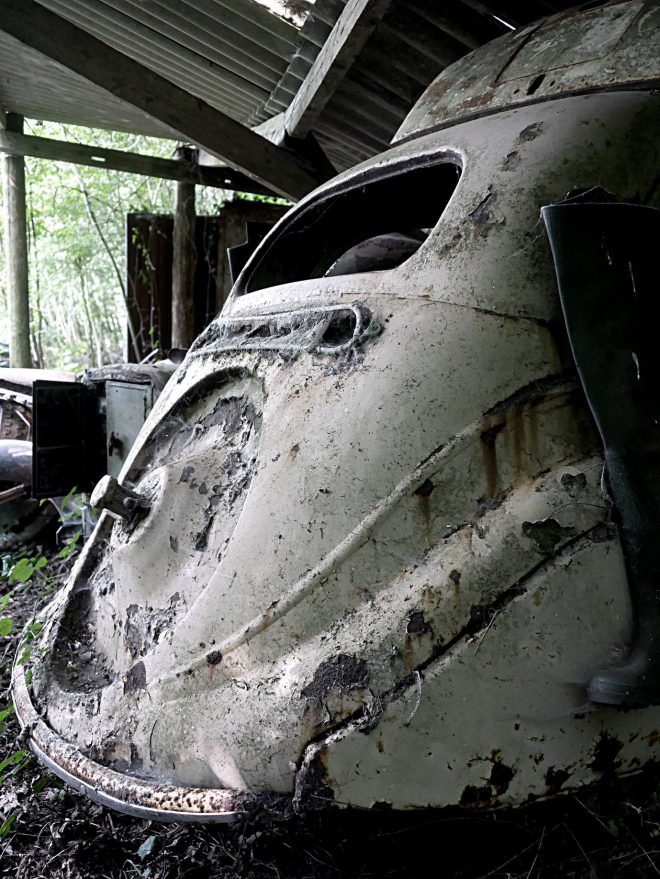 Les Lionnes sont mortes ce soir