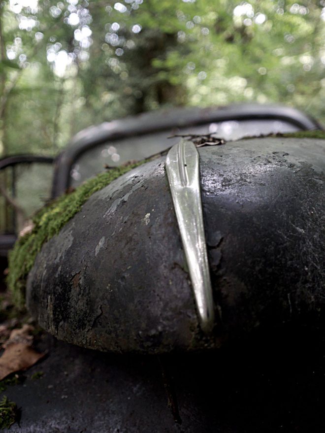 Ouvre ta gueule jolie lionne