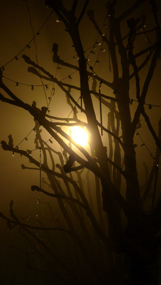 Ombres et brouillard