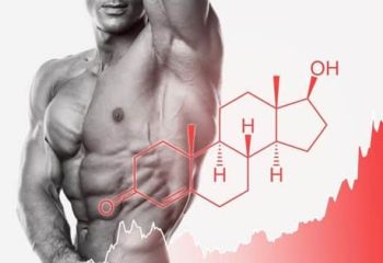 Biological Effects of Testosterone Hormone in Our Body.