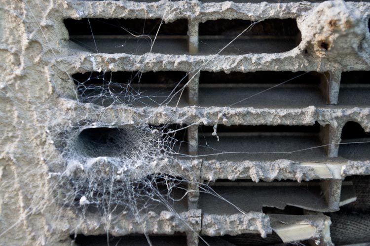 Always find a way out.