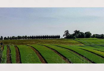 Geometrical #landscape