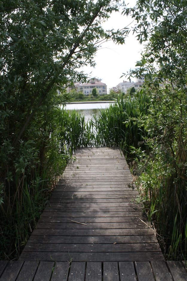 Avant le grand plongeon…