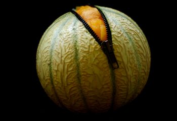 Melon facile - Pas de photomontage
