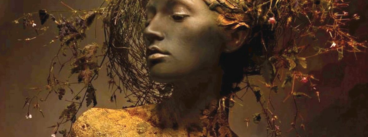 Salon Photo de Riedisheim