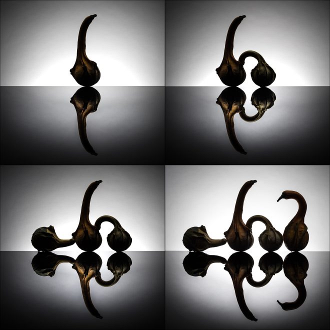 être libre de ses actes