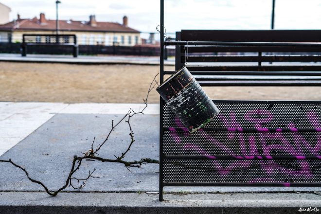 La branche et le pot