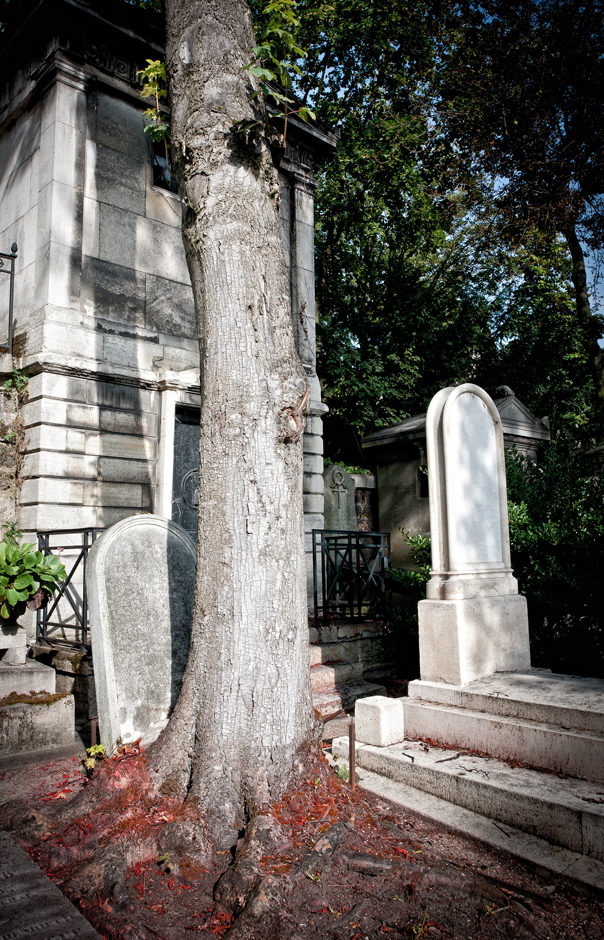 Les Feuilles Mortes (Jacques Prévert)