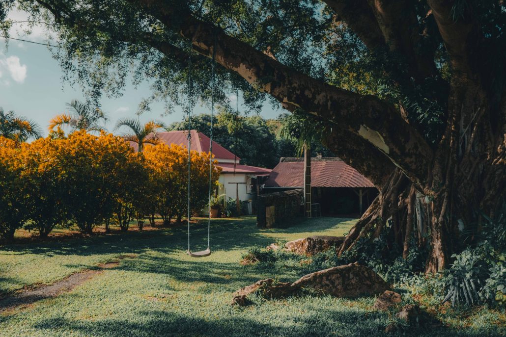 La balançoire enchantée