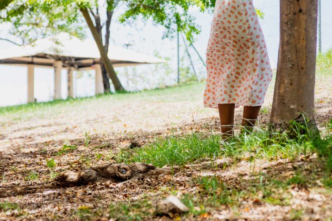 Jardin de récréation