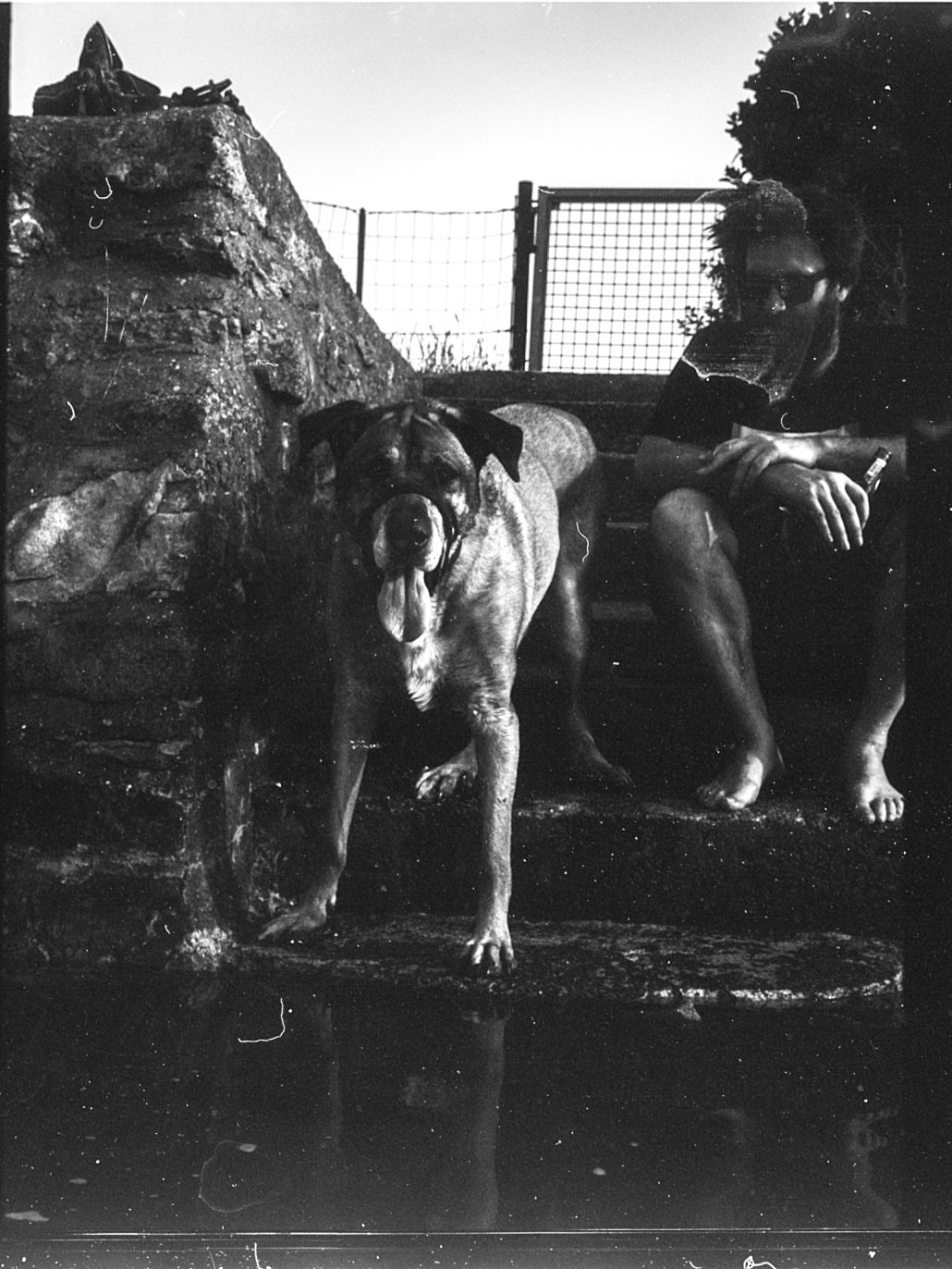 ambition, réaction innovation