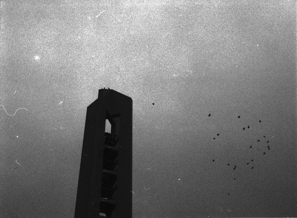 ça va s’arranger (mais oui. bien sûr)