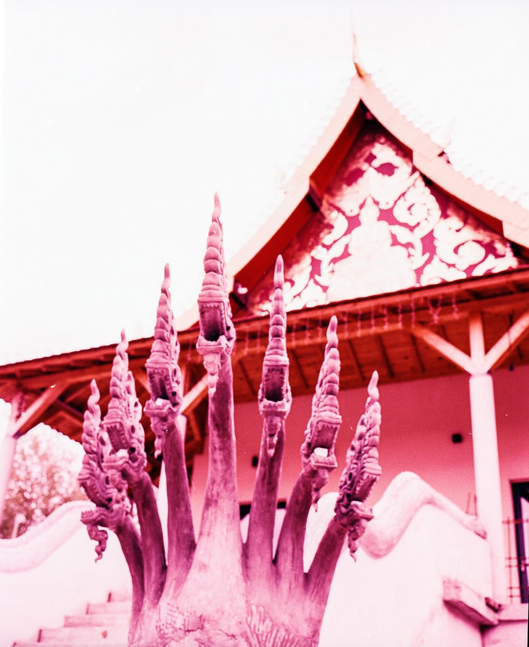 le Nâgas de Roubaix