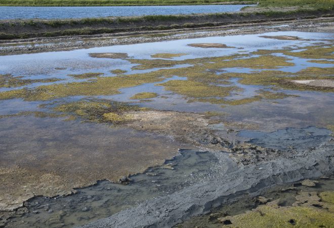 de la Terre à la Lune