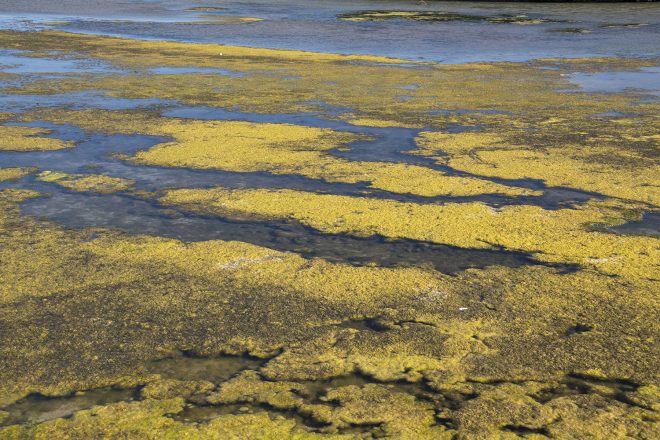 de la Terre à la Lune 3