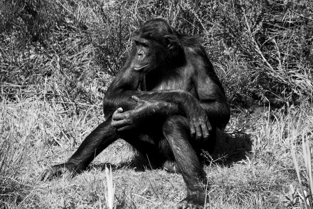 Moment de réflexion