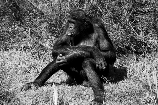 Moment de réflexion