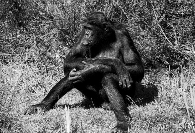 Moment de réflexion