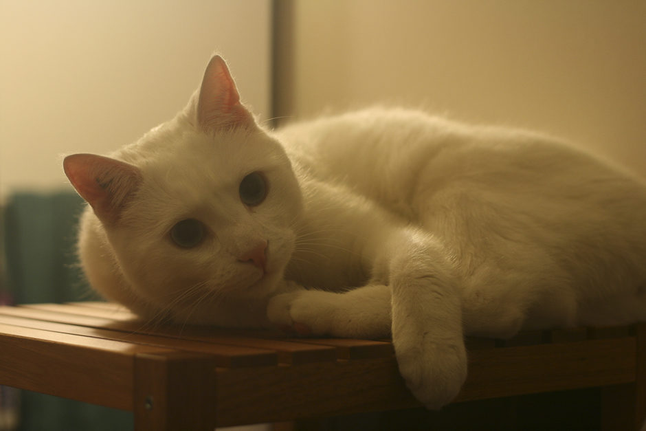 Waiting for something