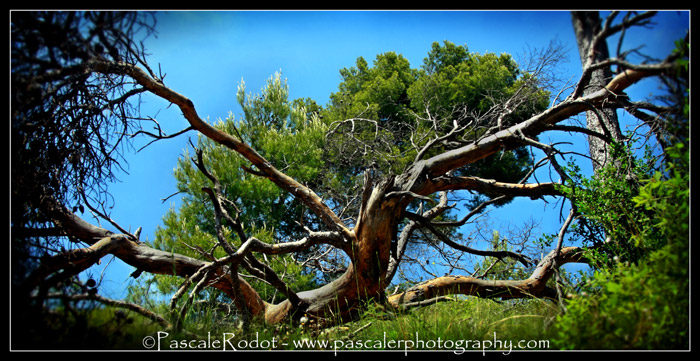 Le Trash the Dress de Gaëlle