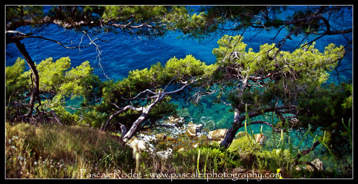 Le Trash the Dress de Gaëlle