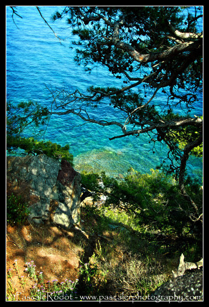 Le Trash the Dress de Gaëlle