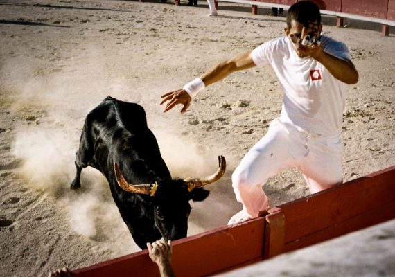 Cocarde et cocardier