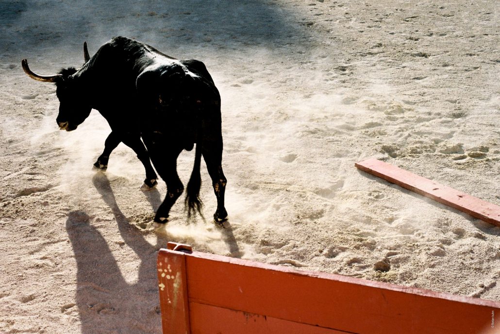 Cocarde et cocardier, 3