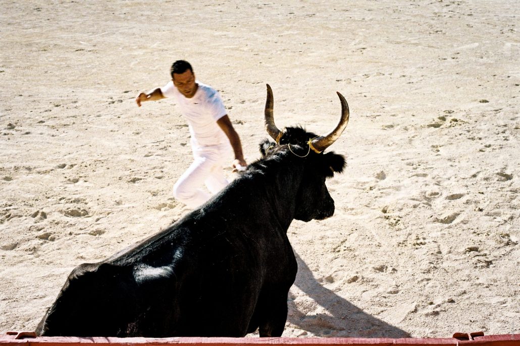 Cocarde et cocardier, 2