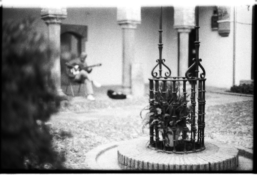 El hombre y la guitara.