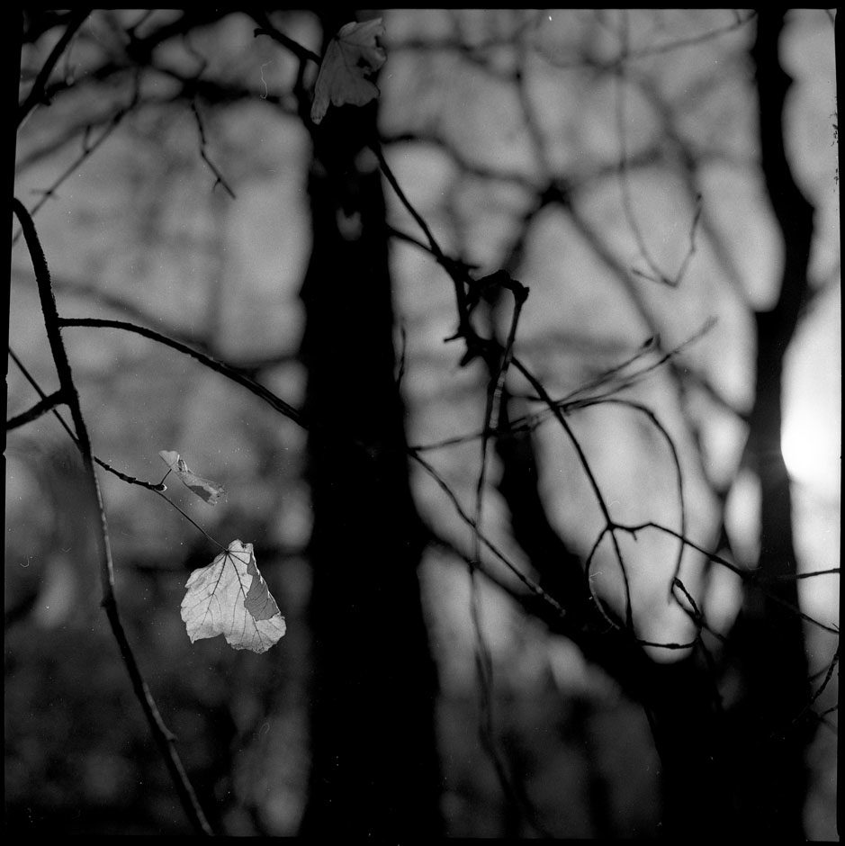 Lumière du matin, poil aux intestins (j’ai pas trouvé mieux)