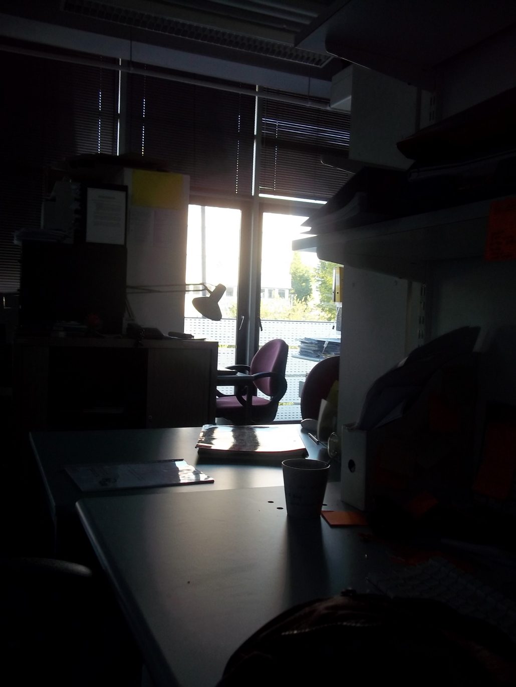 Dimanche ensoleillé… à travailler