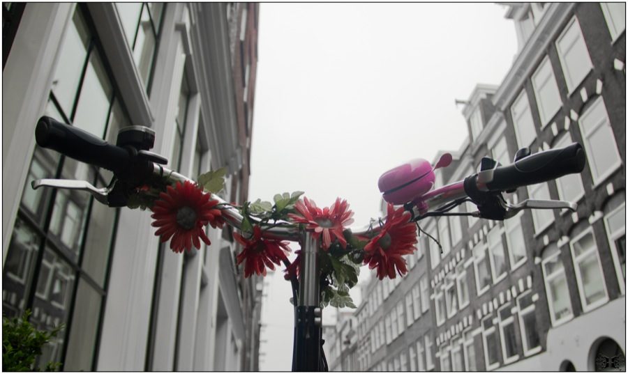 Ville à fleurs de vélo !