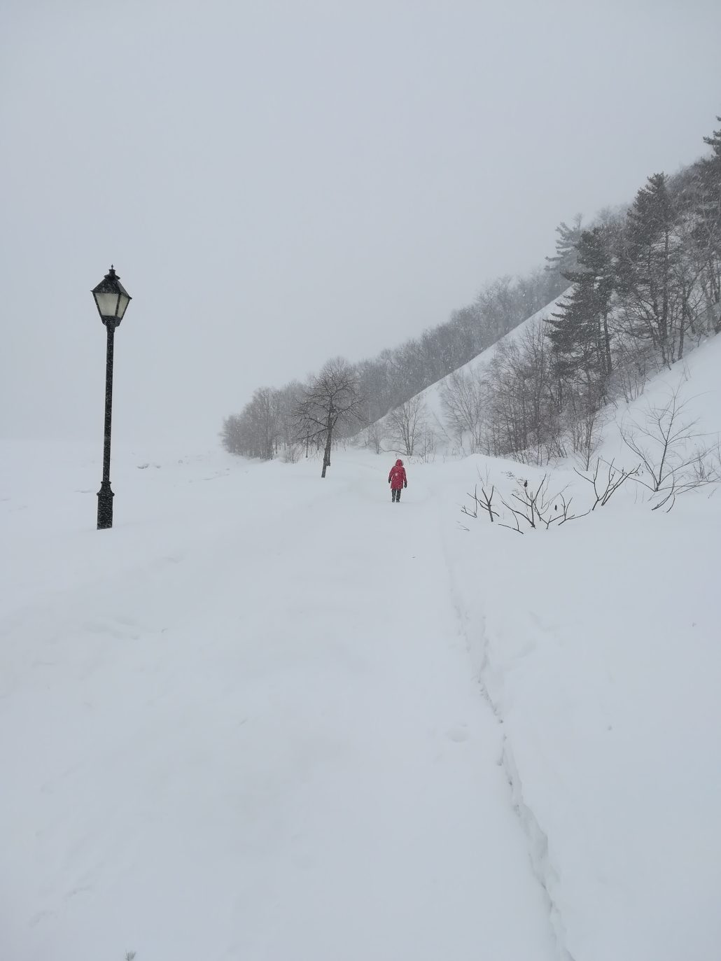 Le petit chaperon rouge