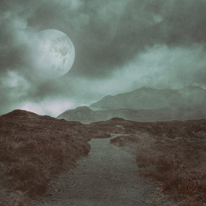 Chemin de la perdition