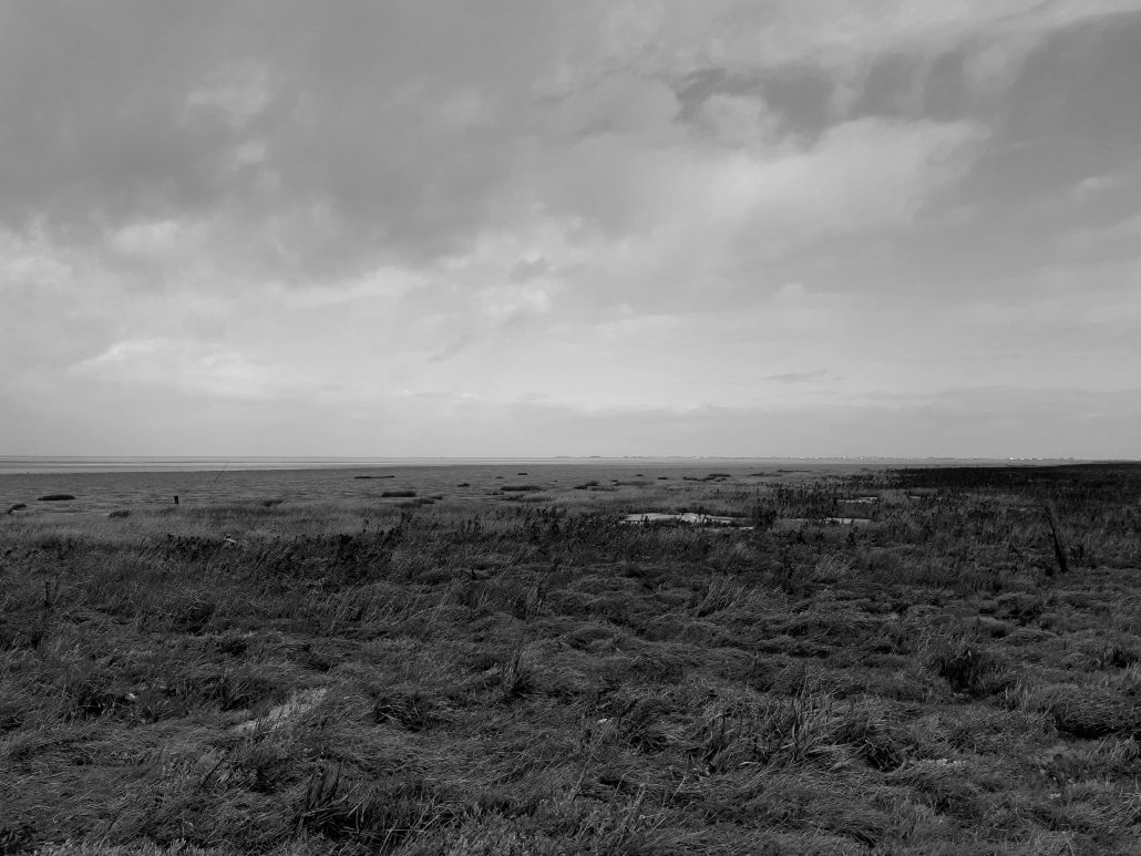 Baie de l’Aiguillon