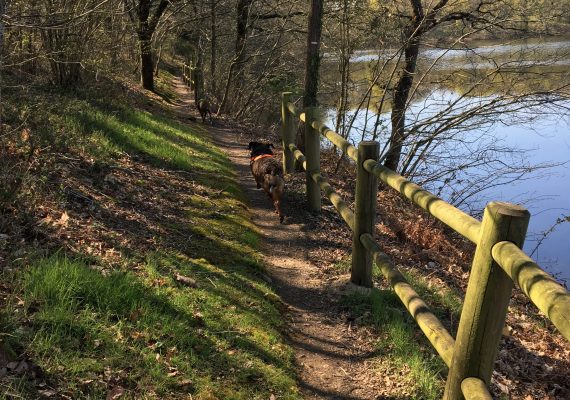 Promenade printanière