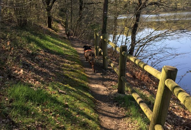 Promenade printanière