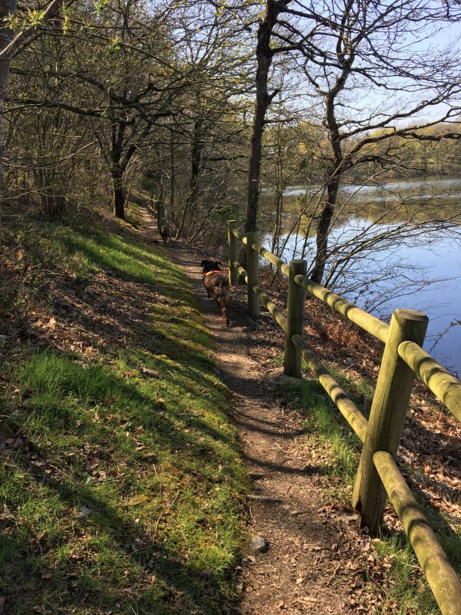 Promenade printanière