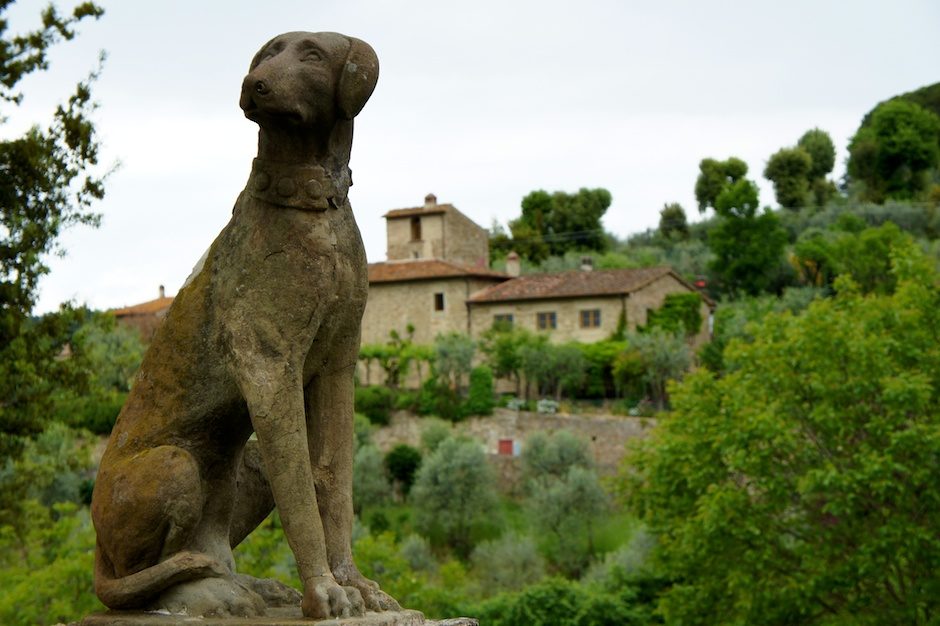 The Italian Dog